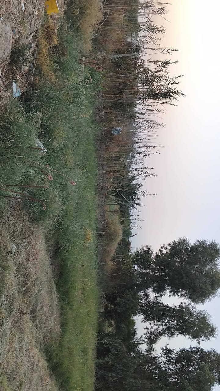 مزرعه معه دار حديث البناء زراعي  ومسيجه وكامله خدمات من تبليط للباب ماء مستوصف صحي البيت غرفتن وصالتين ومطبخ واستقبال وصحيات داخليه و خارجيه تبعد عن السوق ابو غريب خمس دقائق واجت البيت 12م ونزال12البيت مطبك كرانيت داخل وخارج للتفاصيل أكثر اتصل أو راسل واتساب ***********

