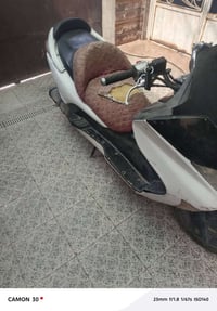 فورزه • ٢٠٠٨ • شغاله