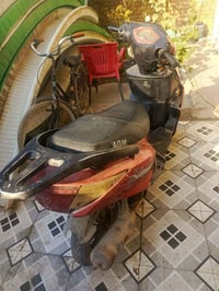 سكنس • ماكس صيني • محرك