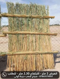 سياج قصب • عرض ٢م • ارتفاع ٢٫٣٠م