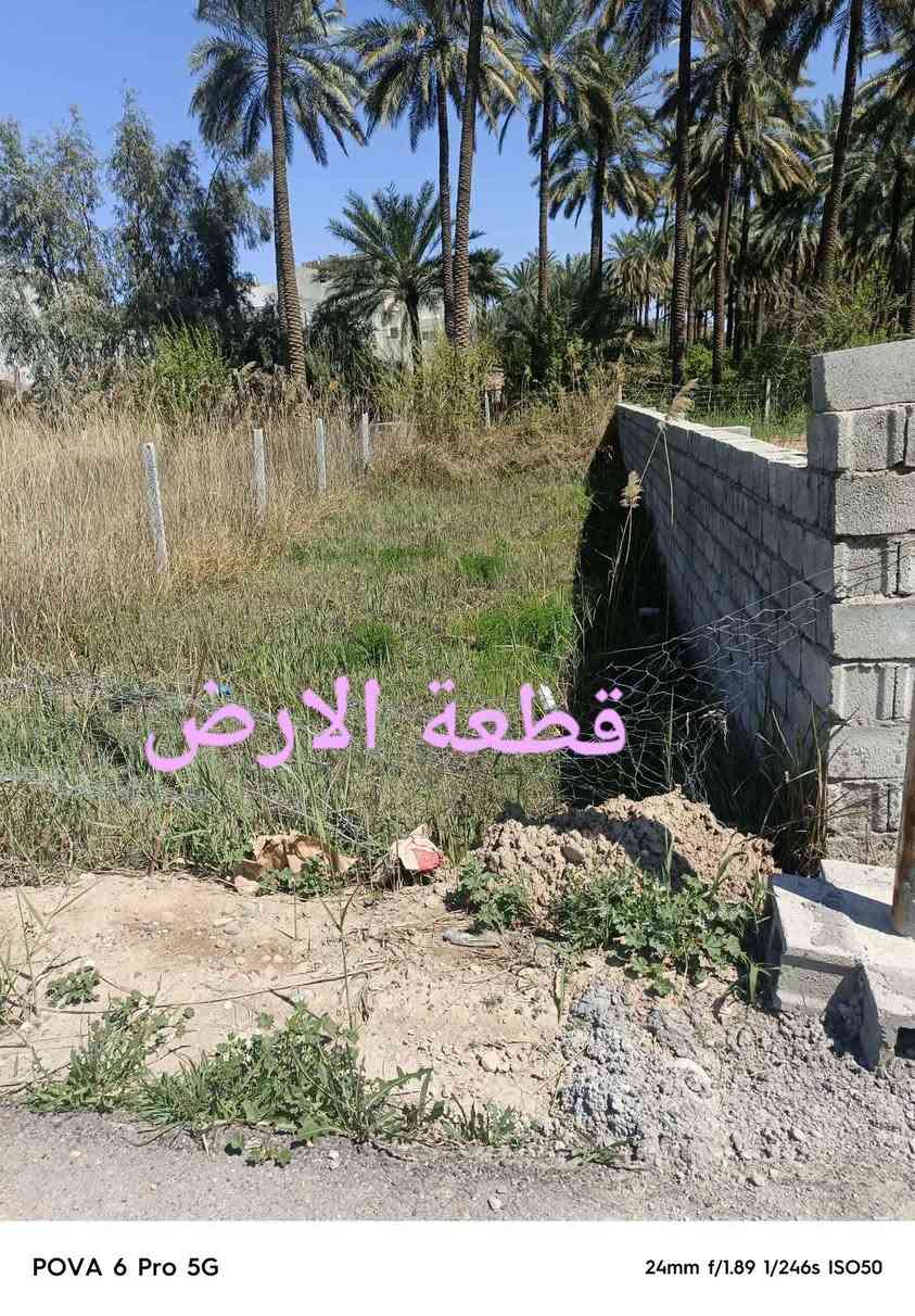 قطعة ارض سند 25 ١٠٠ مترمركز بعقوبه خلف دور القضاة مخدومه للبيع وبسعر مناسب الاتصال علـّۓ الرقم *********** بغداد, العراق
