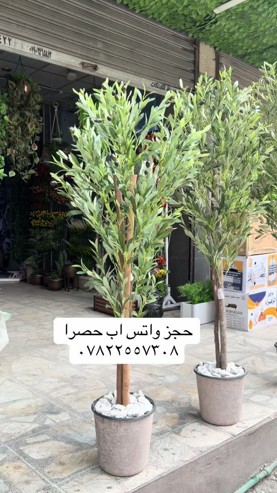 توصيل للعراق • بغداد الغدير • حجز واتساب