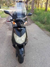 دراجه سكنس فحل للبيع رقم الهاتف 07505672087 العنوان بغداد التاجي الشيخ...