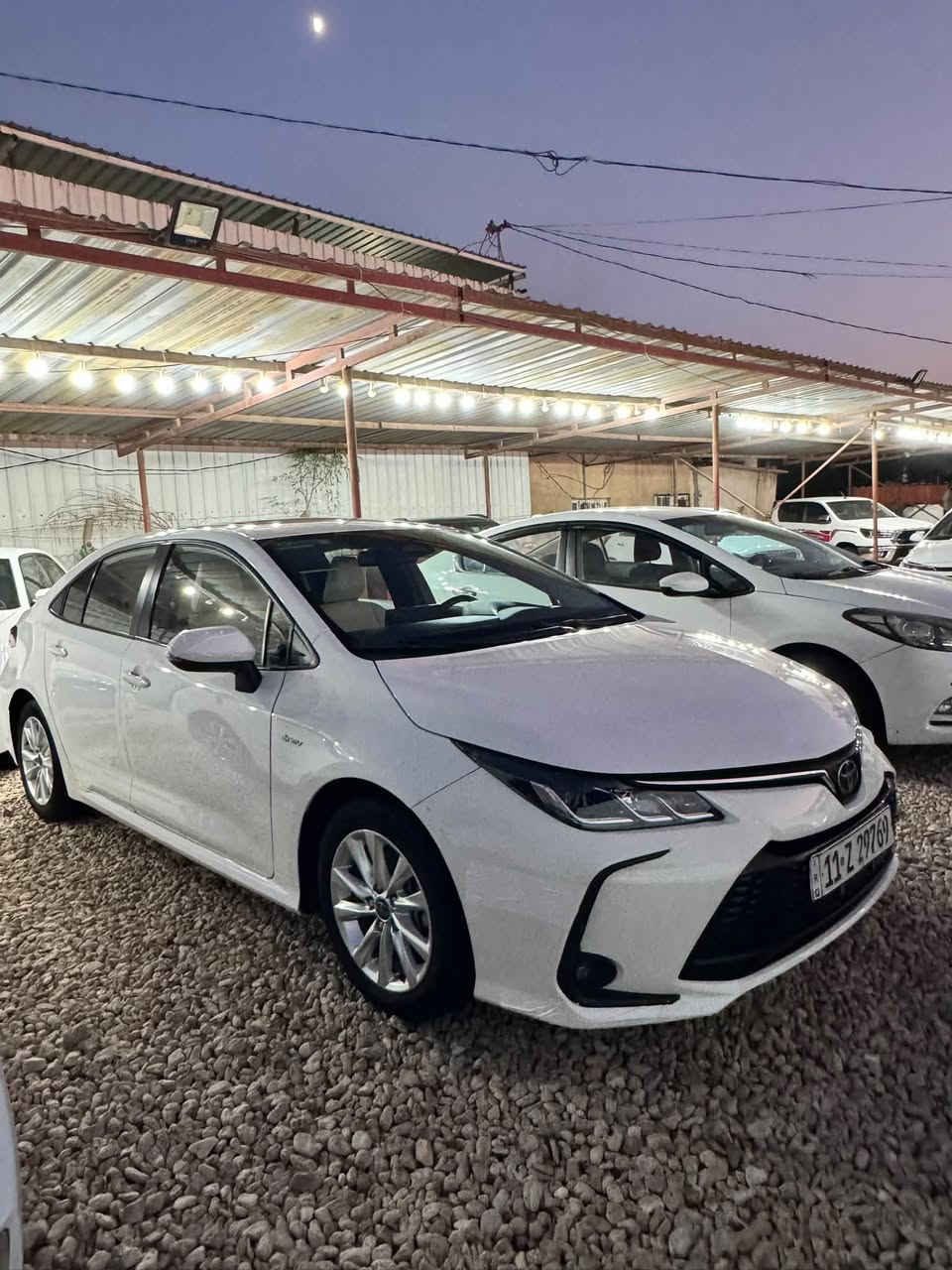 السلام عليكم
كورلا موديل 2024 
فول مواصفات 
بيه بارد 4 اصابع بدايه الجاملغ
مكانه كربلاء 
145 وبيه مجال بصيط 
ماشيه 55 
***********
***********
