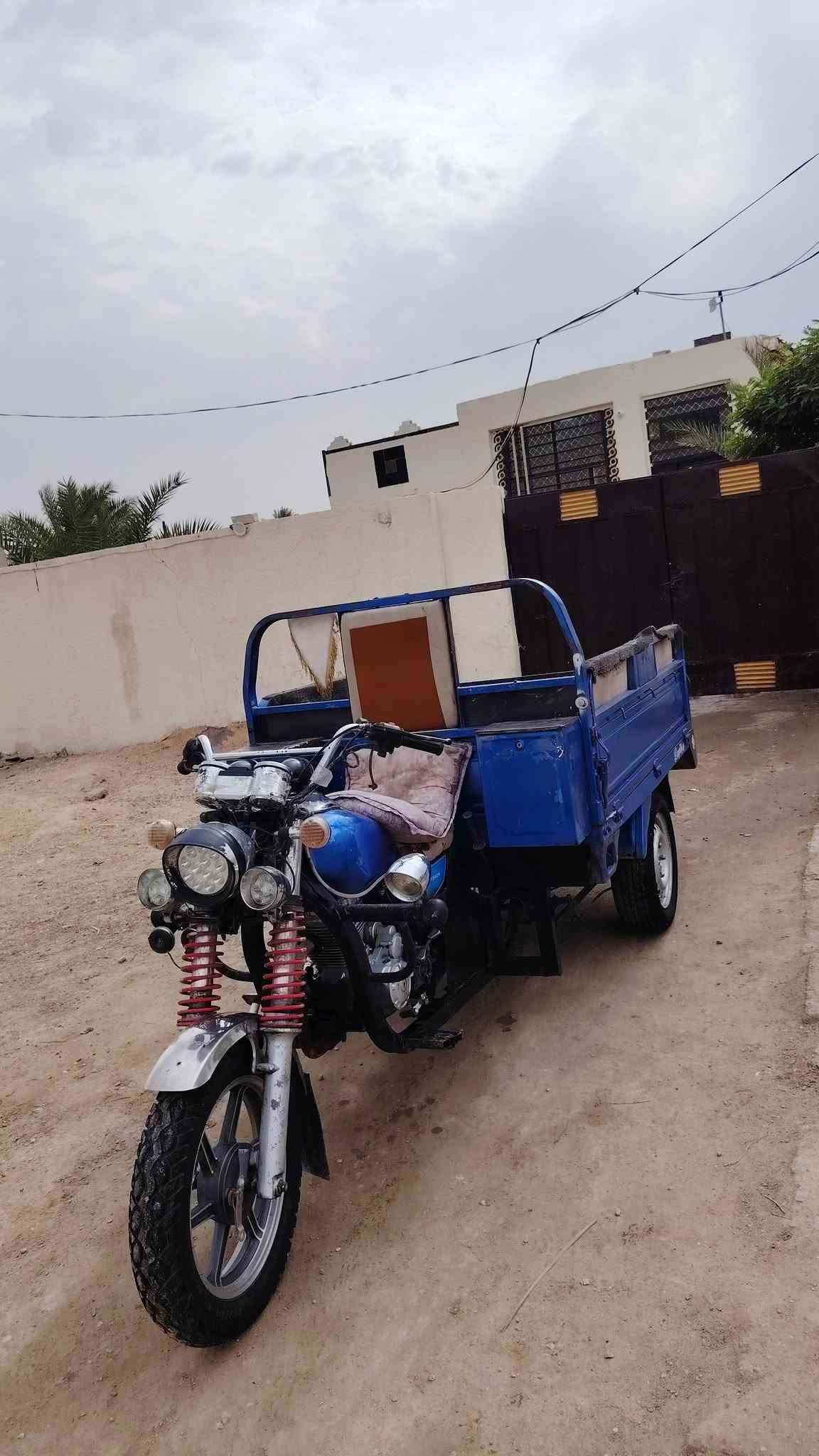 ستوته • ٢٠١٩ • اوراق اصولي