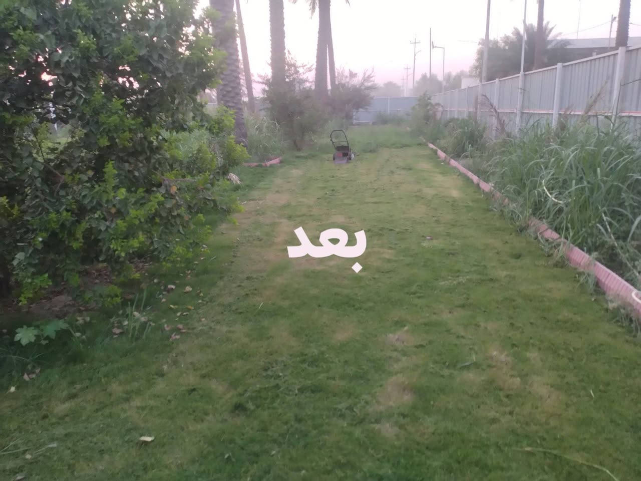 من رخصت ادمن
سلام عليكم عملي تجهيز مزارع من انواع مختلفة من الشجار وكذالك يوجد فسائل نخيل وامايات 
وكذالك عملنه في الحدائق ديكور حدائق لاين زراعة الثيل بنواعه زراعة انواع الورد وادامة الحدائق وتنضيف وكذالك قص اشجار نخيل وغيرها 
ومن الله التوفيق 
الأتصال:***********

نص مكتوب في الصور:
- قبل
- بعد