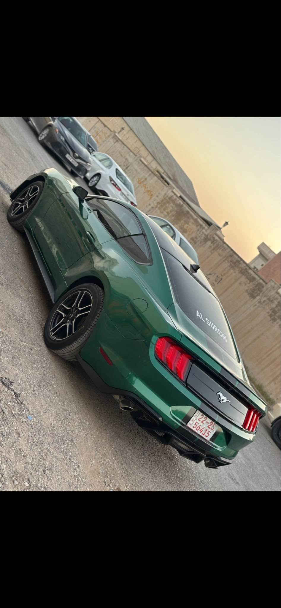 موستانك ٢٠٢٣ • مصبوغ • رقم دهوك