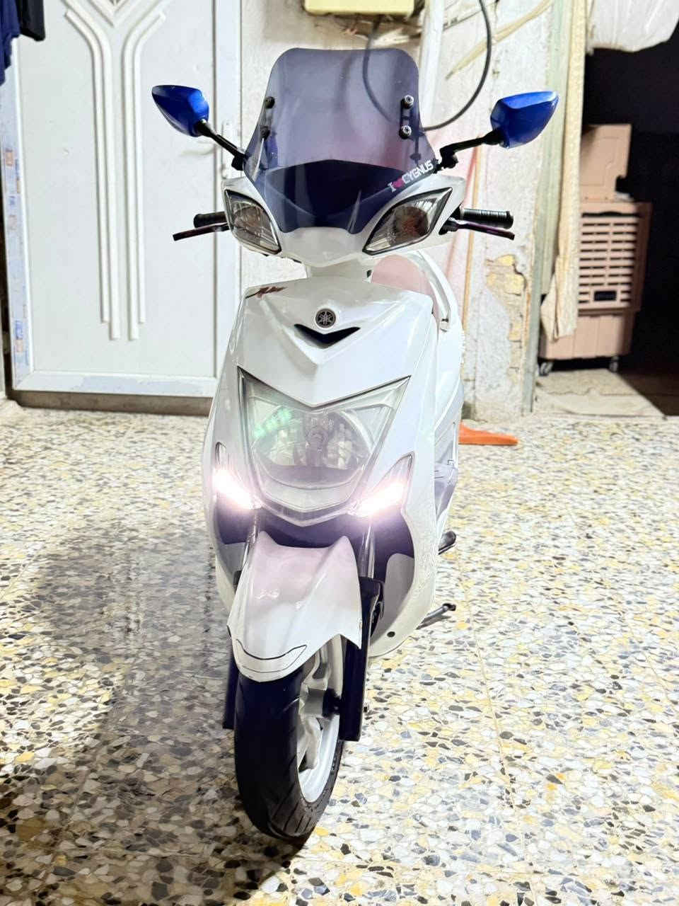 سكنس فحل • ياباني • نضيف