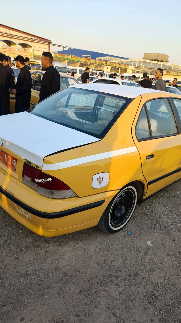 سمك مدير 11 • فيها مجال • للبيع