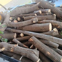 ستوتات • خشب تفاح • توصيل للبيت