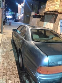 بطة • ١٩٩٤ • البصرة