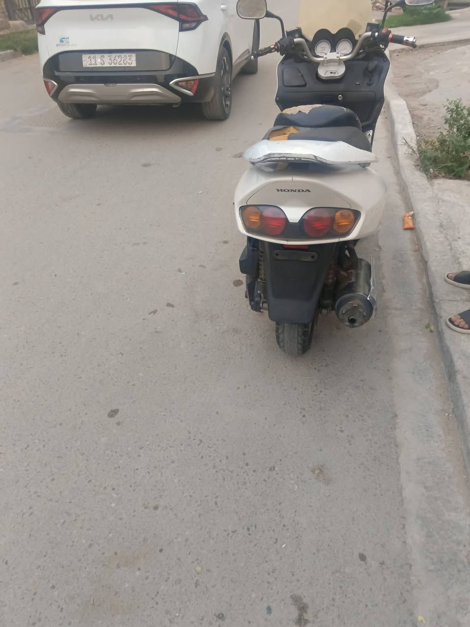 فورزه 06 • فحل • معدل يخبل
