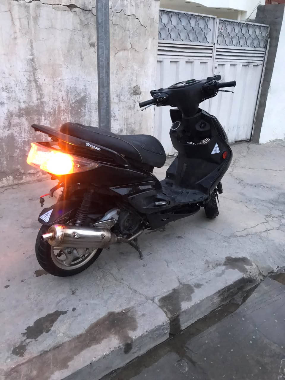 سكنس فحل • كفاله مكينه • ٥٨