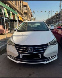 شانجان ال سفن • اقساط • الاعظمية