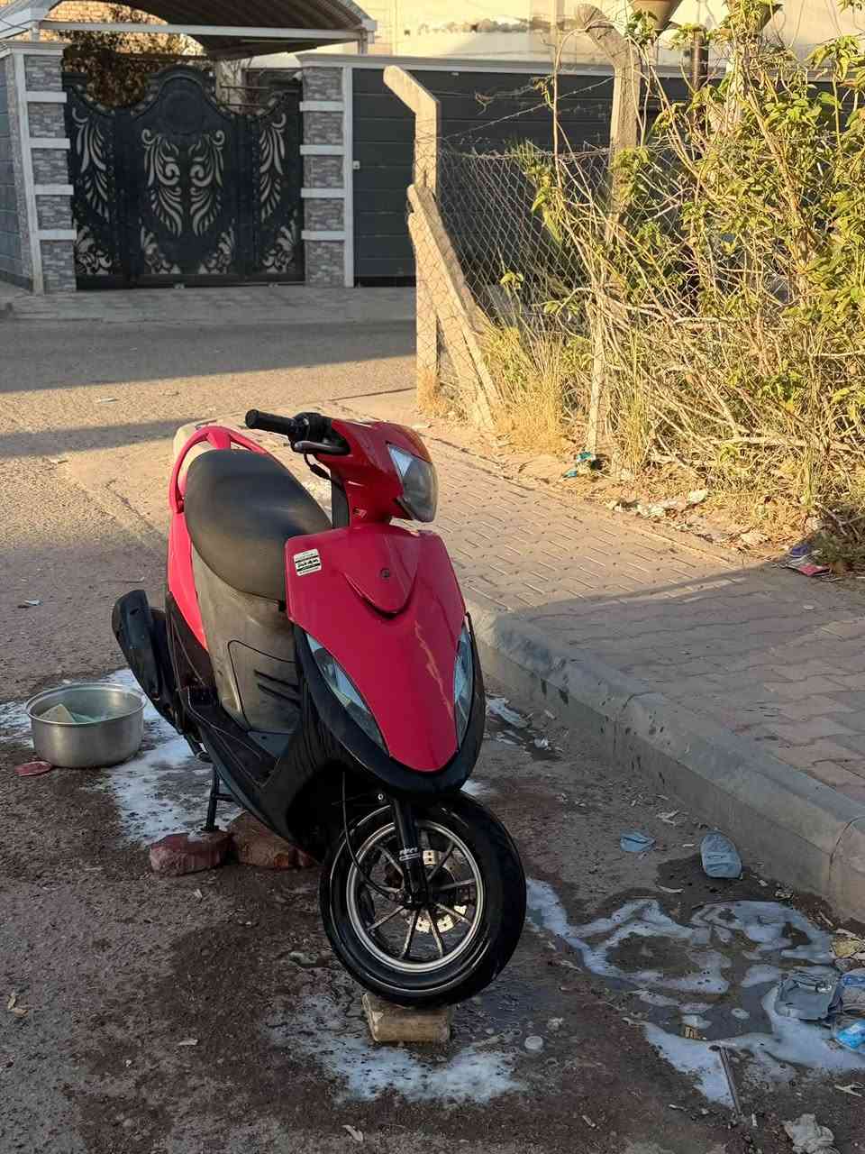 ماكس • من المعرض • دبل خلفي