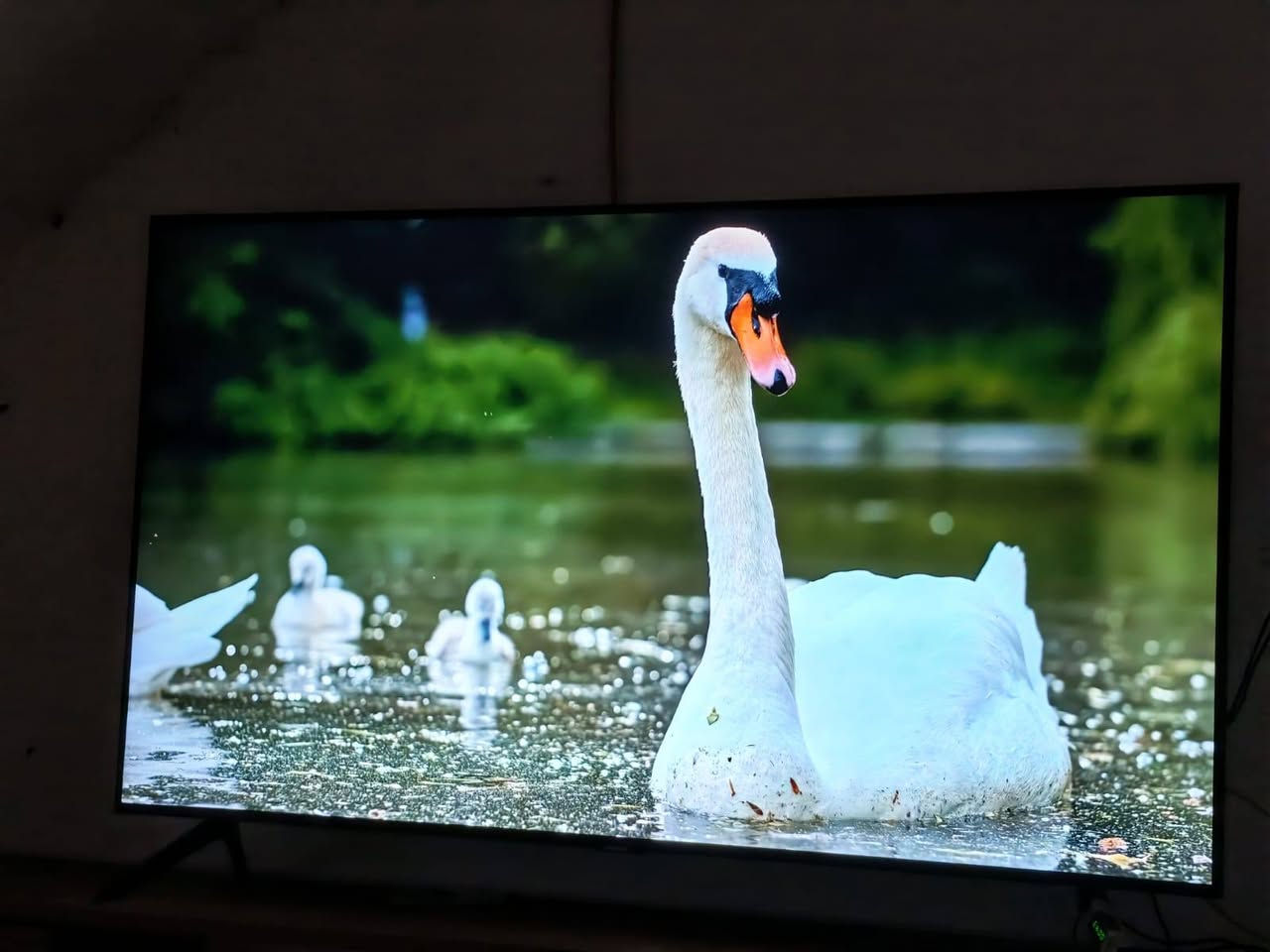 سلام عليكم شاشا البيع سامسونك ام نت دقت 4k 
50بوصه حجمه مكانه كوفه سامسونك اصلي مو تقليد سعر 580 بيه مجال قليل التواصل ***********
