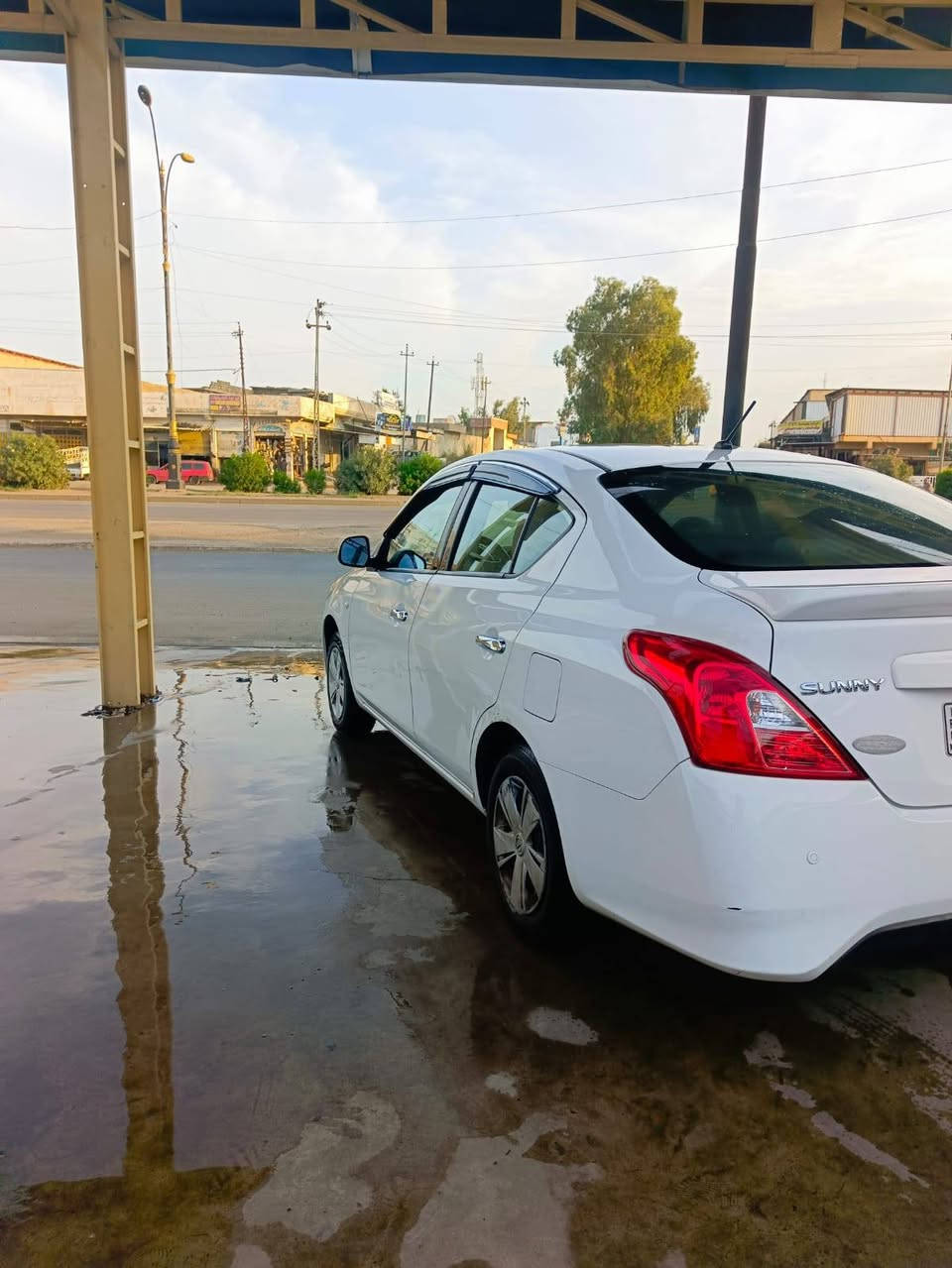 صني • ٢٠٢٠ • بدون صبغ