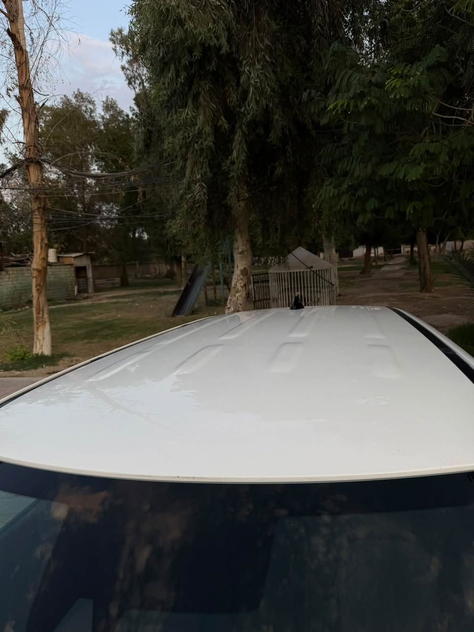 للبيع كيا صول وارد امريكي بدون حادث  ماشية ٩٠ الف ميل مواصفات شاشة كاميرا تحكمات ستيرن جهتين كشنات مخمل رادار امامي رادار جانبي رقم كربلاء الجديد تحويل ثاني يوم للاستفسار  التواصل *********** على الواتساب غير متواجد على الماسنجر
