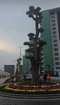 مجمع الود • ٢٠٠م • ٤ غرف