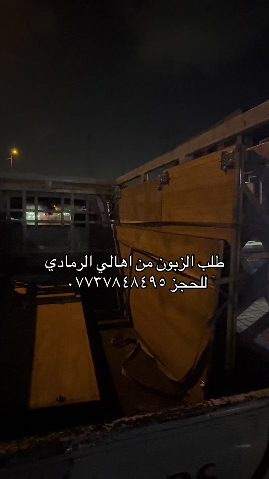 بوفية فراش • مضاد حشرات • الرمادي