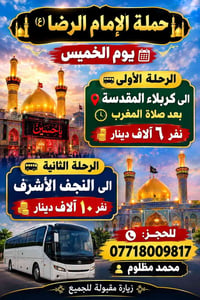 حملة الإمام الرضا • كربلاء • النجف
