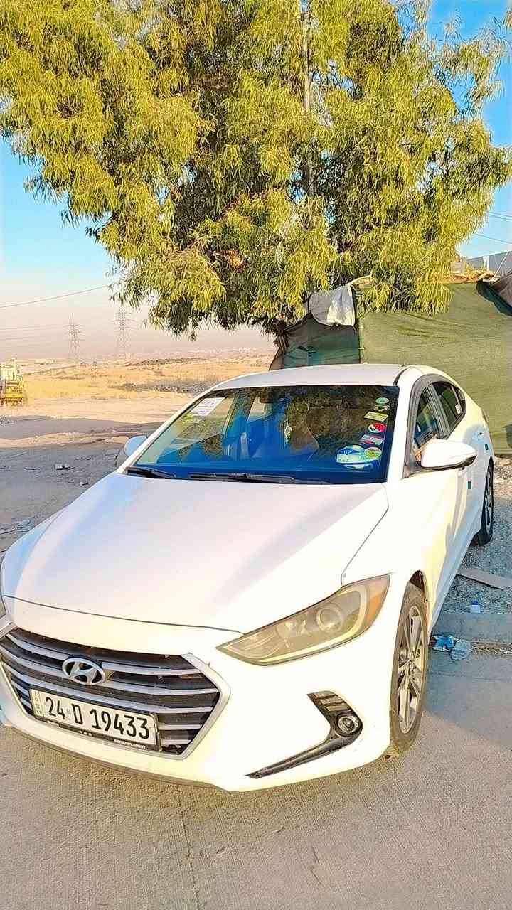 النترا كوري • ٢٠١٧ • رقم دهوك