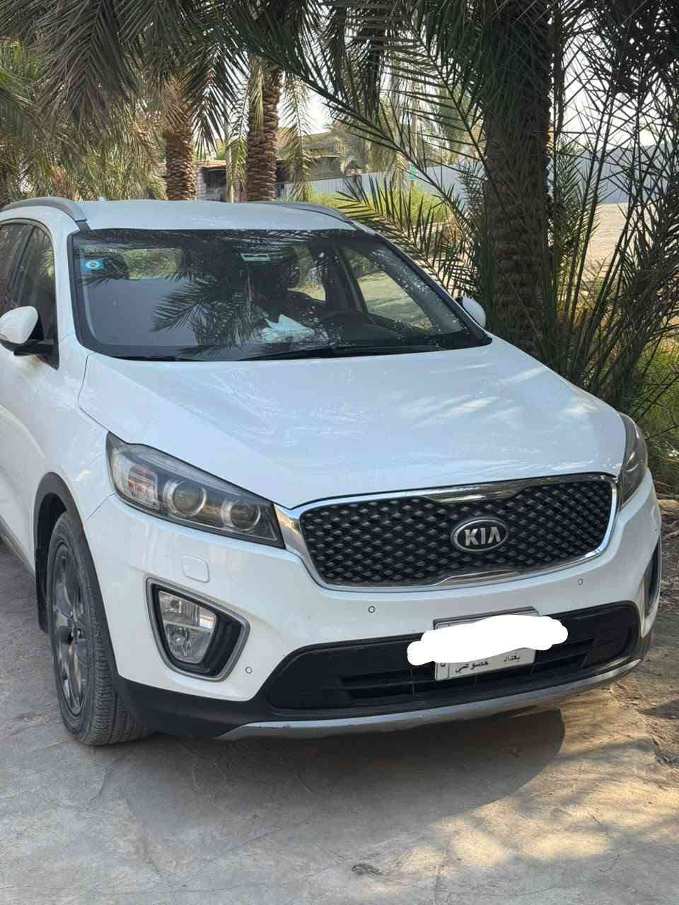 سورنتو ٢٠١٦ • خليجي • ٧ راكب