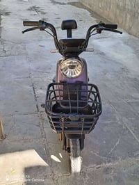 دراجة شحن • ريان • حجم ١٤