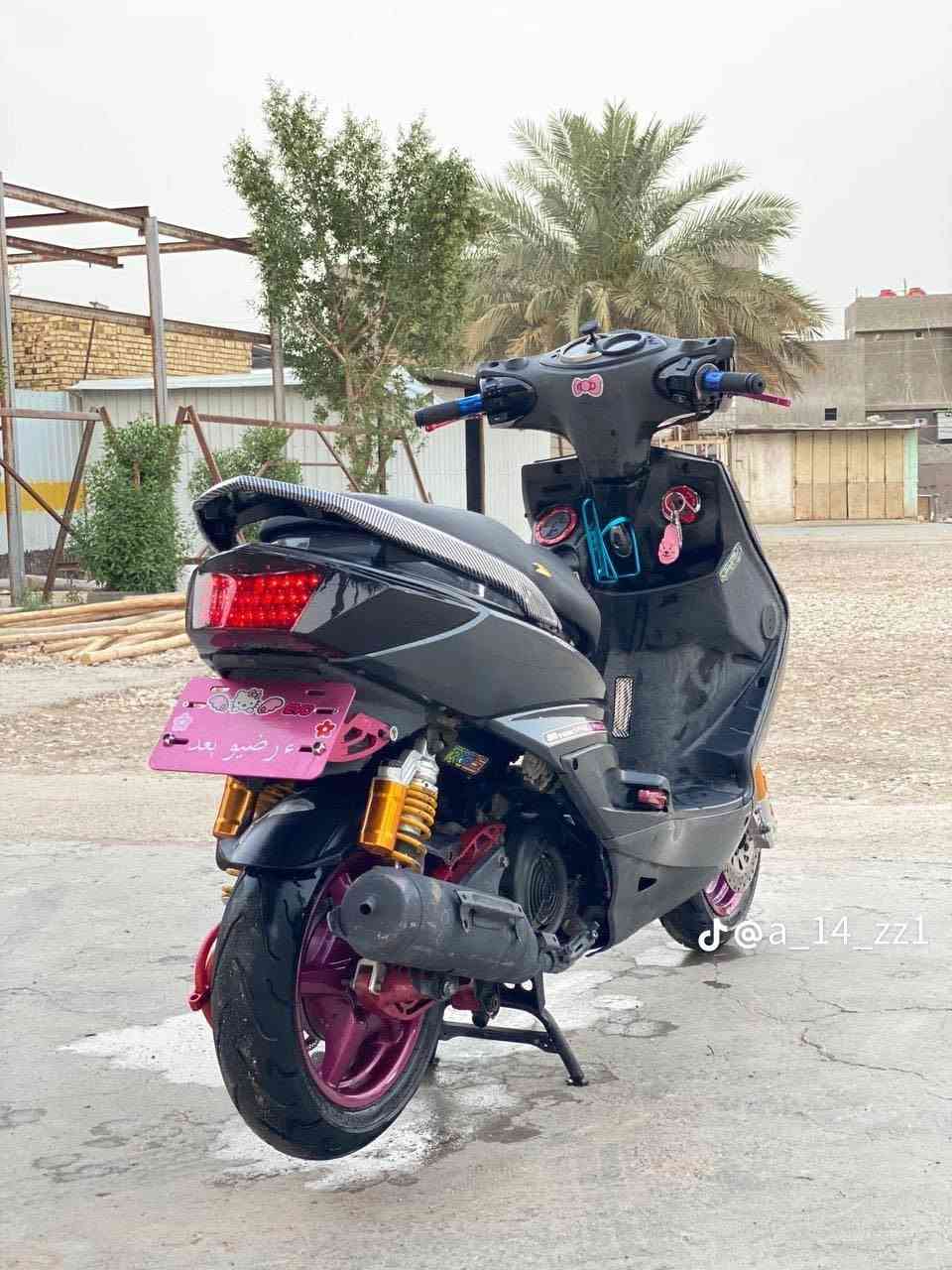 سكنس فحل • فول تزويد • نضيفه