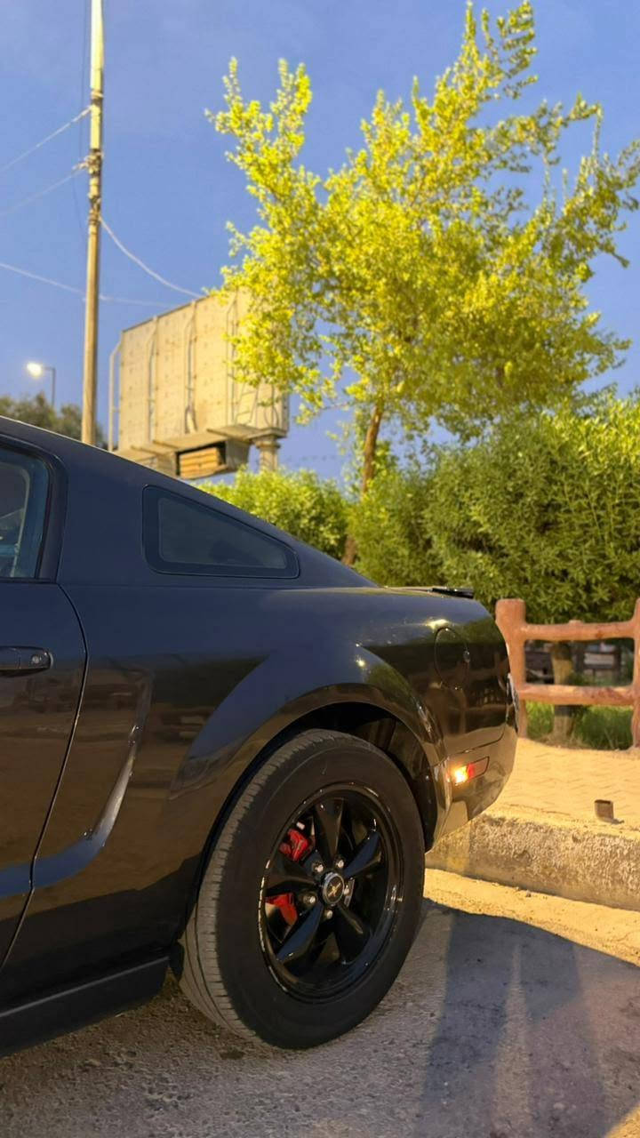 موستنك موديل ٢٠٠٩ السعر 65 وبيه مجال قليل المكان ناصريه قضاء الرفاعي الشراي ينتصل تفاصيل عل خاص رقم التليفون ***********
