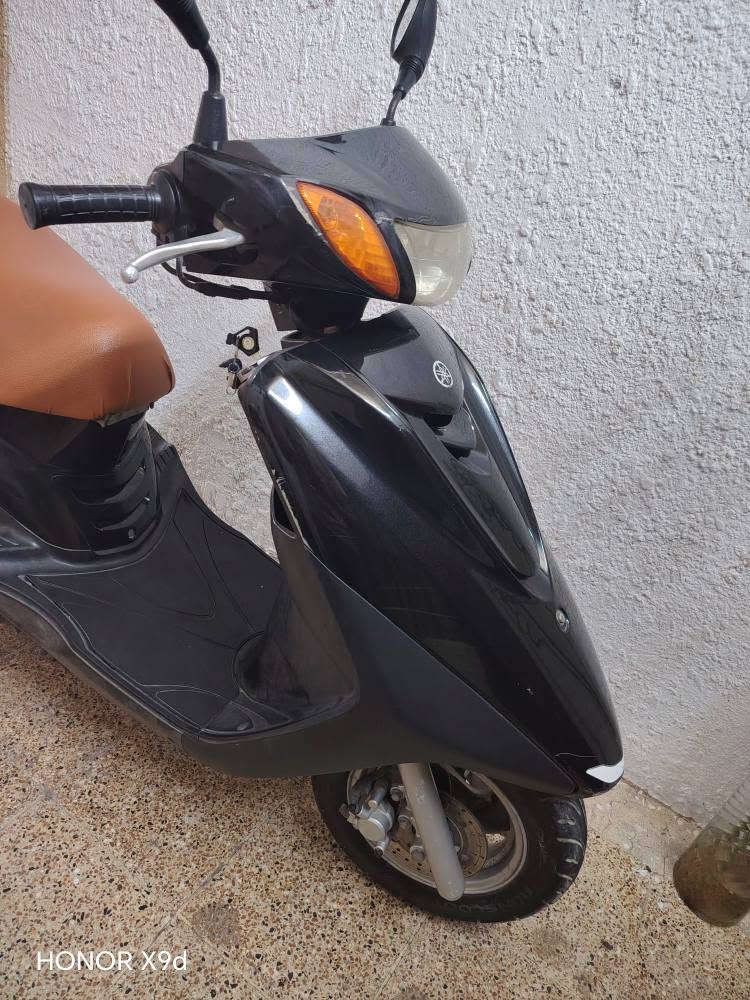 اكزز • يابانية • مكفولة