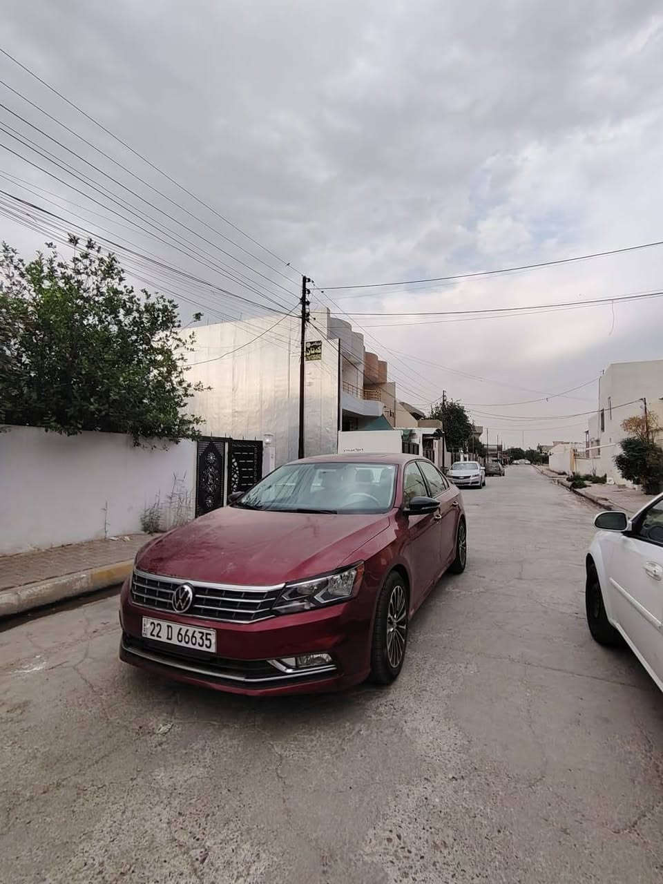 باسات ٢٠١٩ • تيربو • سقف بانوراما