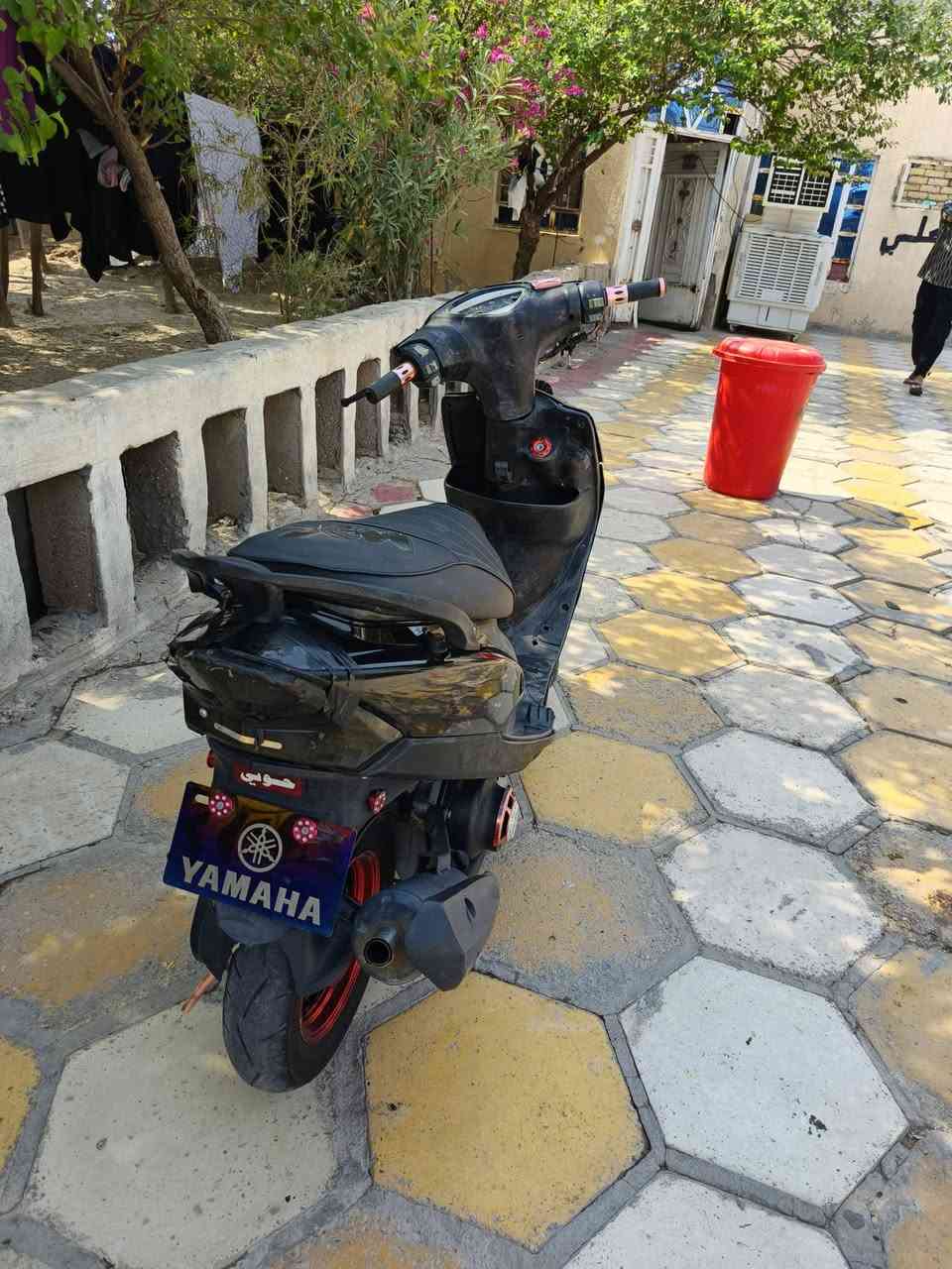 ماكس • نضيفه • بصره