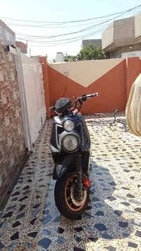سكنس جبلي • كفالة عامة • شراي