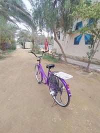 بايسكل • حجم ٢٦ • بنفسجي
