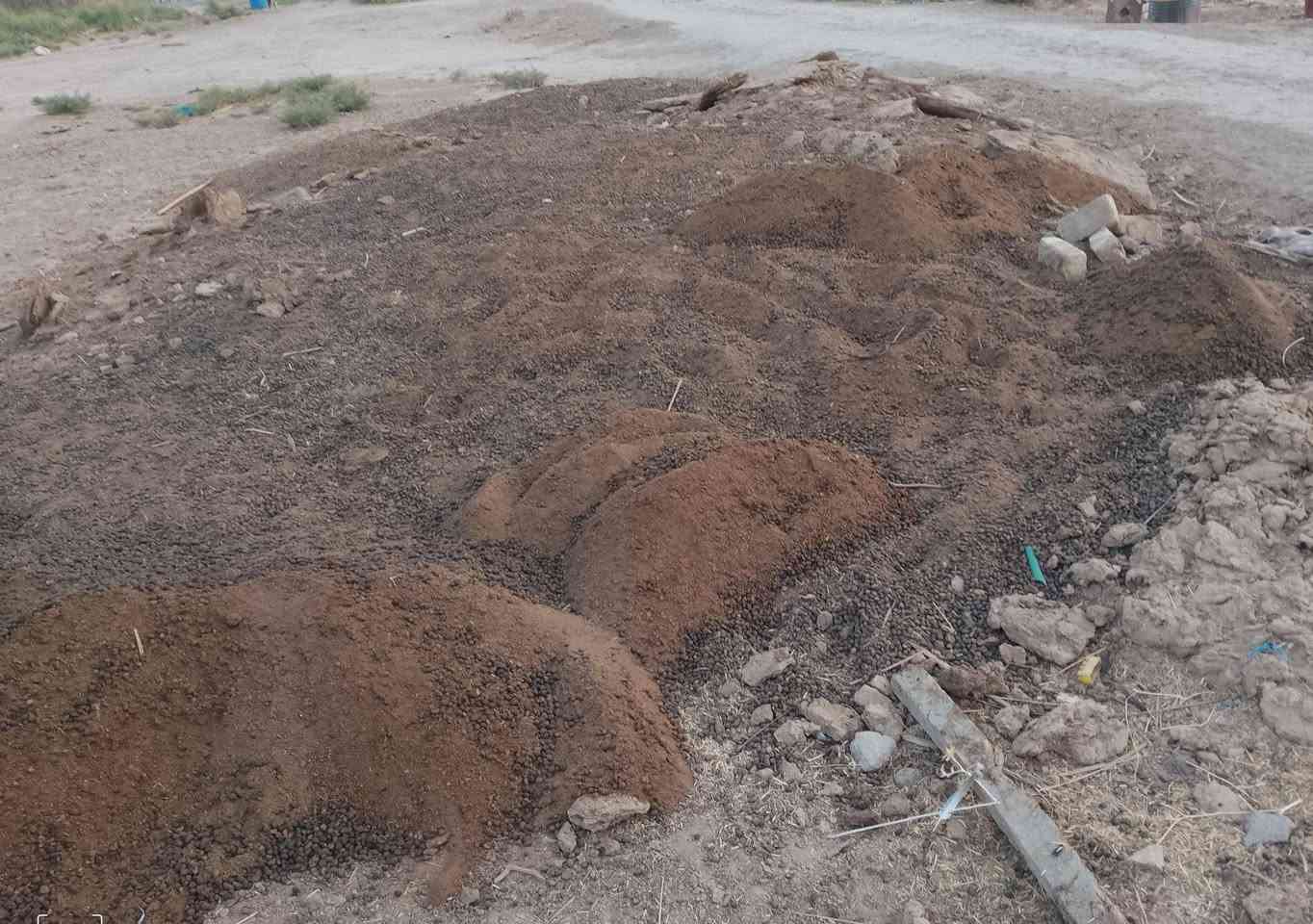 ***********العنوان ذي قار
