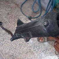 ثعلب • بلاديه • المسبح