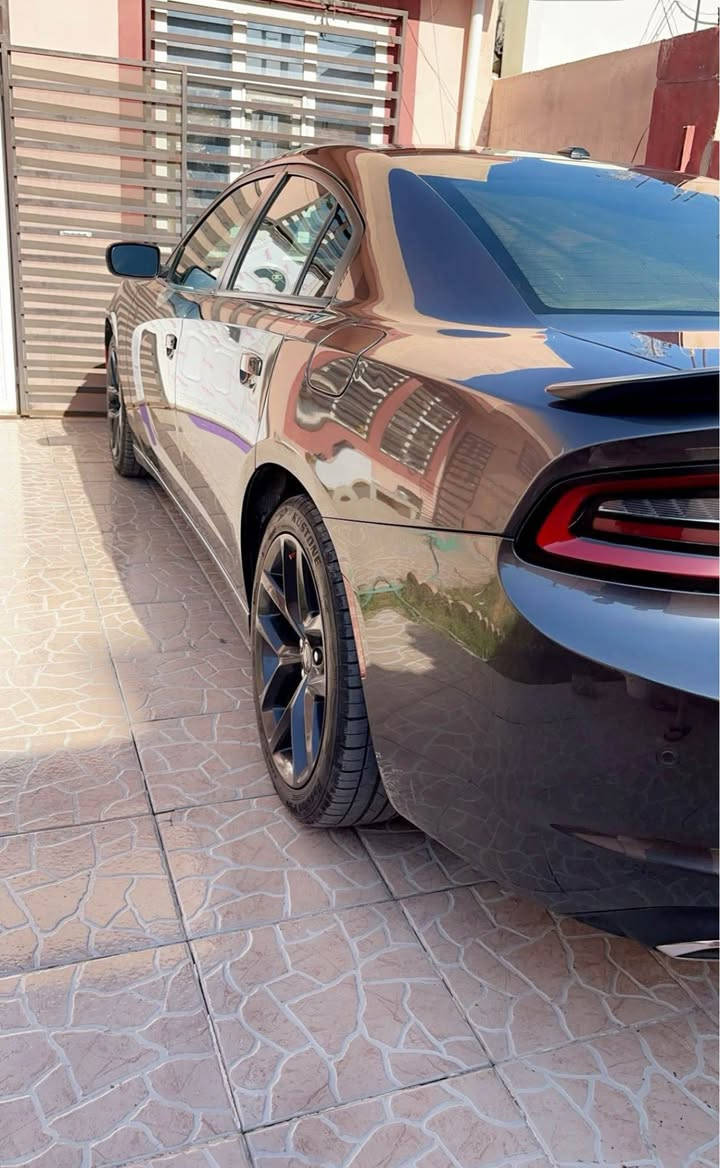 *********** كركوك, العراق
