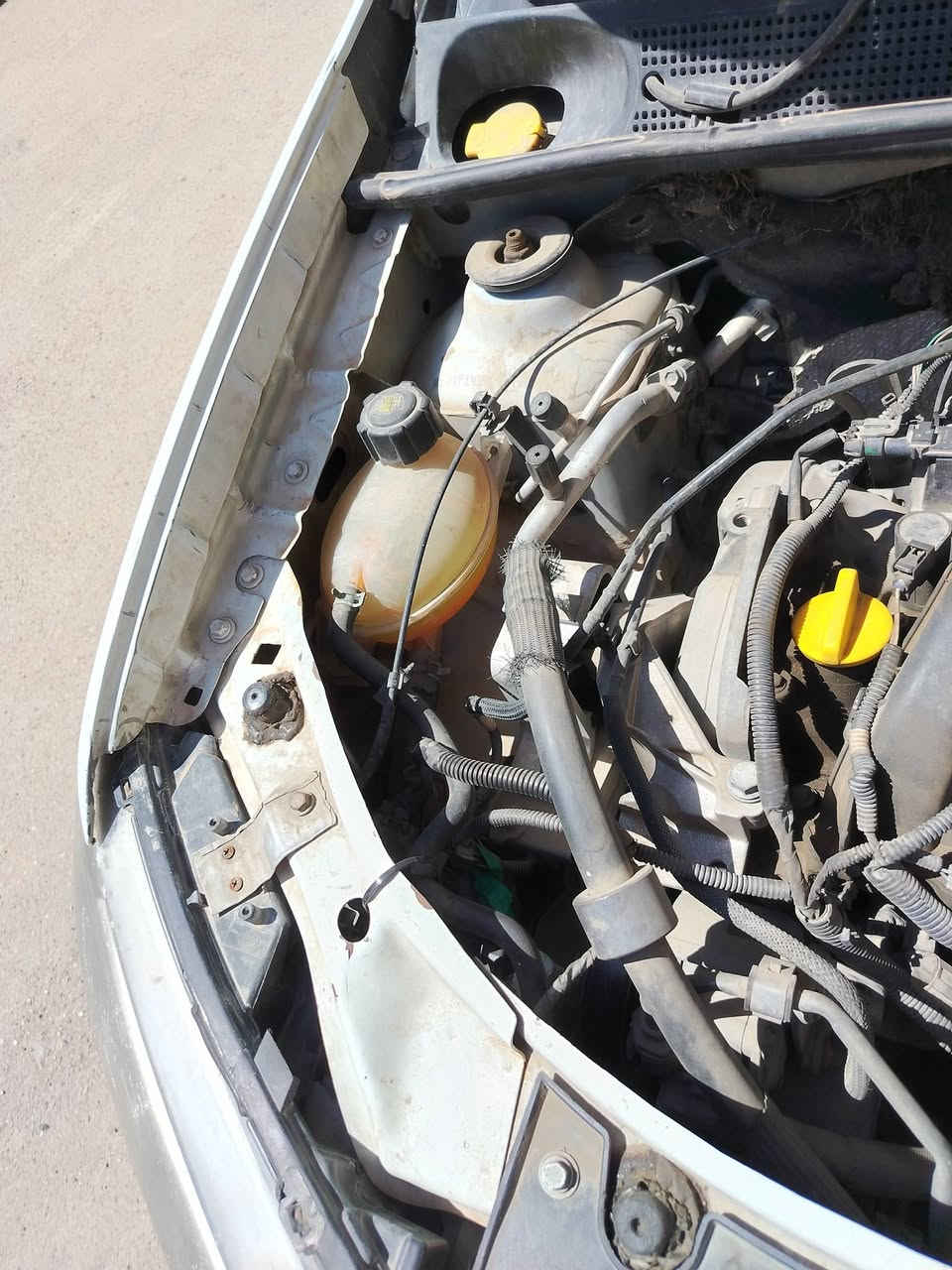 سلام عليكم رينو سيمبل بيضه بغداد انكليزي باسمي موديل 18بيع او مراوس بيها بنيد وجاملغ صبغ  كهربائية  كير محرك تبريد تمام  مكانه بغداد رقم تليفوون *********** موجود وات ساب
