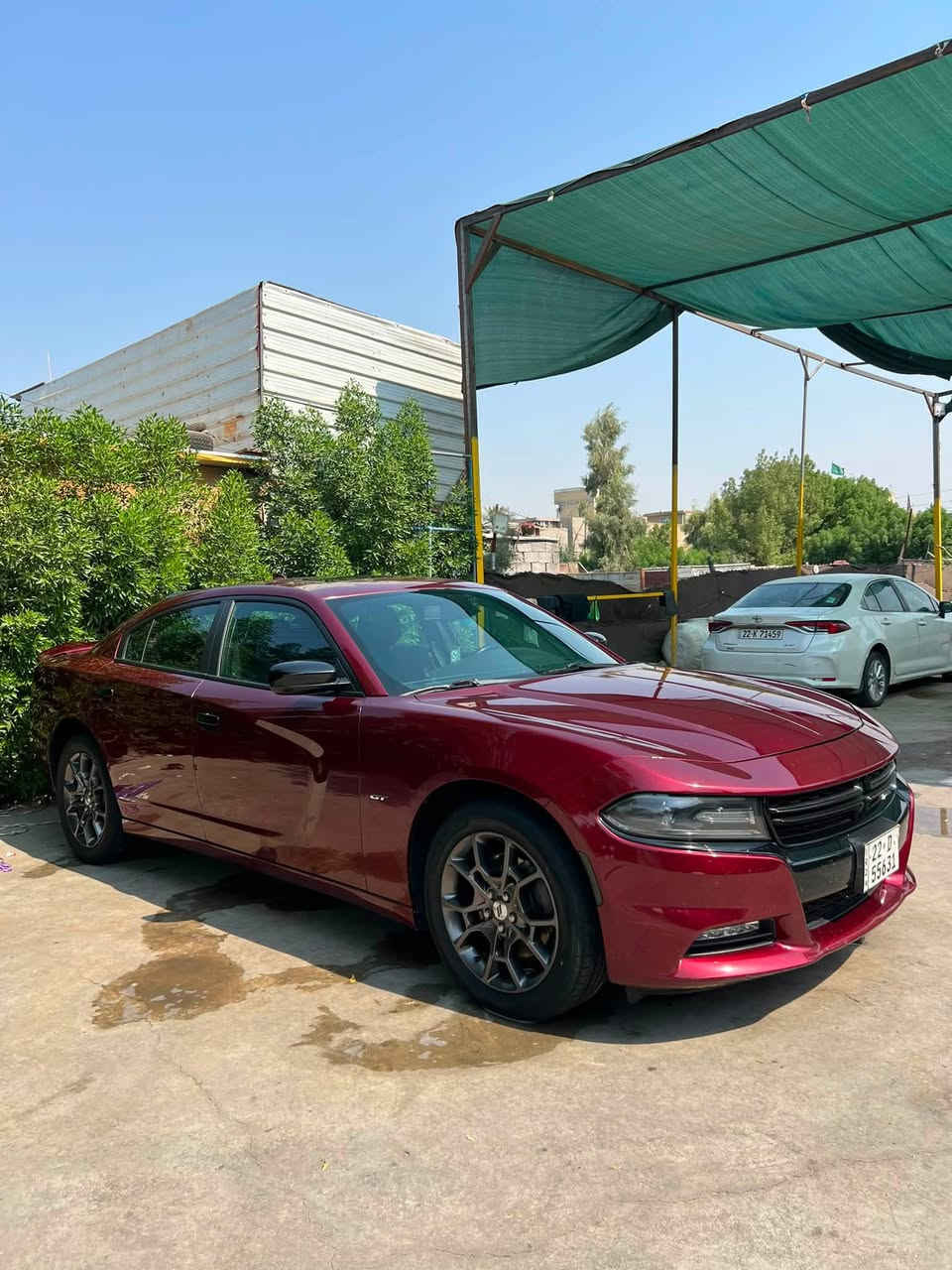 سلام عليكم جارجر 2018 GT
محرك3600 وارد كندي. (فور ويل) (رقم اربيل سنويه جديده بسمي تريد وكاله تريد تحويل) 

.فتحه سقف
.بصمه تشغيل عل بعد
.شاشه كبيرة
.تحكمات استيرن
.كشن حضن
.تبريد امامي خلفي
.ويل كب جبير
.مانع انزلاق
.منضومه زنون
.رادارات جانبيه
.بعد بيها هواي موصفات
.تخم تايرات 
.صدر امامي خلفي
 .سيارة جاهزه اي نقص مابيها

حادثه مرفق بل منشور بيها طخه بل جاملغ الخلفي ومرشوش كلير من امريكا

سعر185$

مكان السياره العامرية ***********
