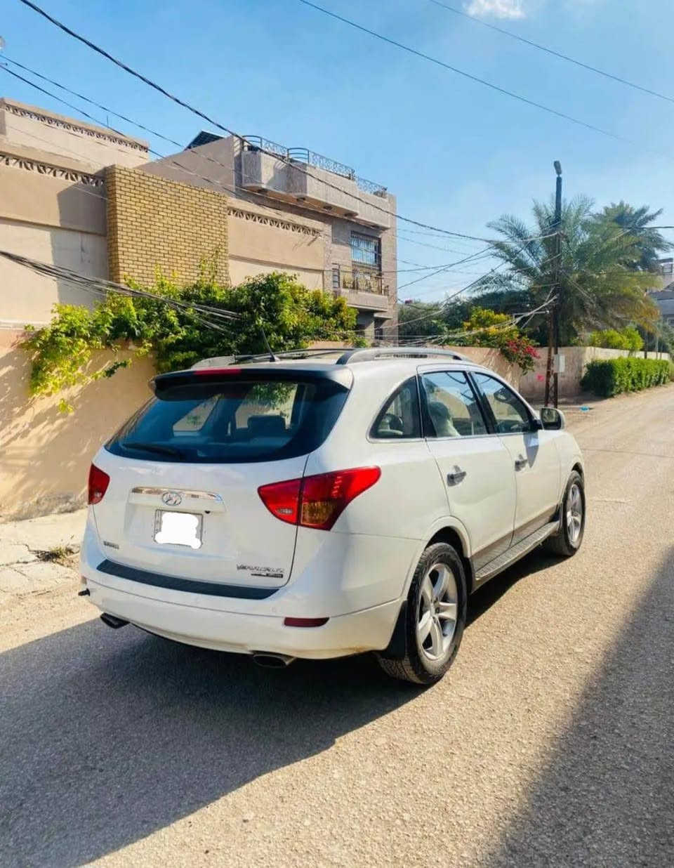 فيركروز • ٢٠٠٨ • وارد خليجي