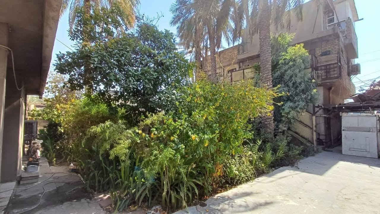 بيت للبيع بسعر مميز في الدورة شارع 60 الرئيسي شارع تجاري مجاور سريع الدورة 
مساحة 642 متر واجهة 15 نزال 42

طابو صرف يحتوي على اربع محلات تجارية (مؤجرة)
وشقة فوق المحلات 
ومخزن فوق الشقة 
و حديقة بمساحة كبيرة 

وبيت بناء 150 متر 

غير متواجد على الفيس بوك

للاستفسار 

*********** بغداد, العراق
