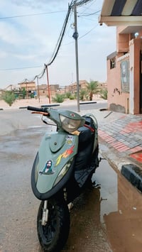 ماكس • شغاله • سلف