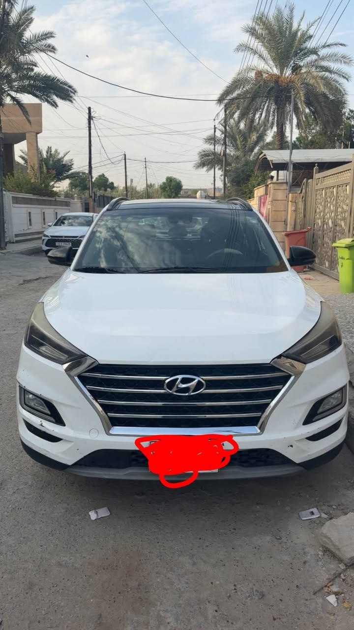 توسان ٢٠١٩ • رقم اربيل • مصلحة بدون صبغ