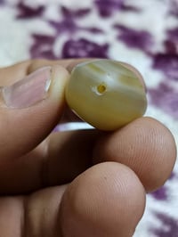 سليمانيه • معطف