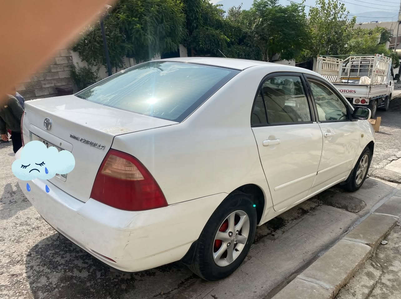 بيكاسو • ٢٠٠٥ • توماتيك