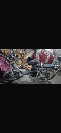 باسكل • المسيب • سكندرية