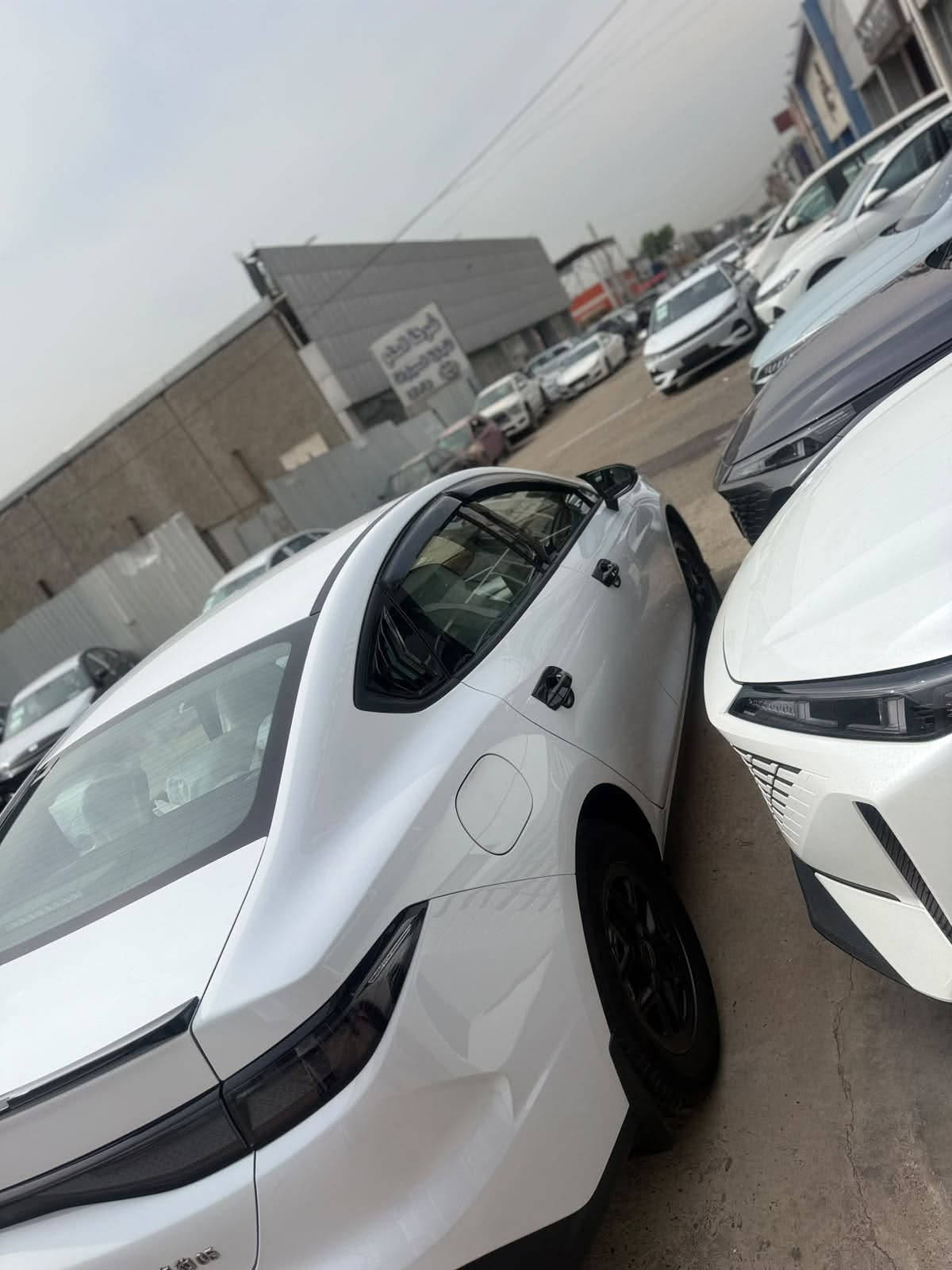 بي واي دي سيل فايف • ٢٠٢٥ • ٨٠٠٠ كم