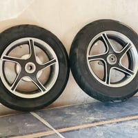 نجمه اصلي • وياله • بابل