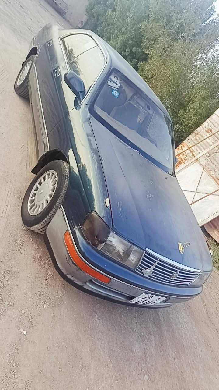مكفوله • ٢٠٢٨ • تحويل مباشر